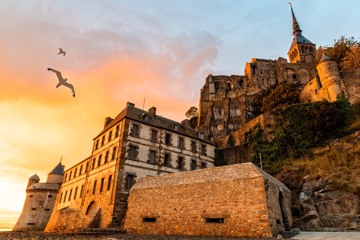 seagulls-flying-over-dramatic-sunset-in-mont-saint-2022-11-15-08-04-45-utc